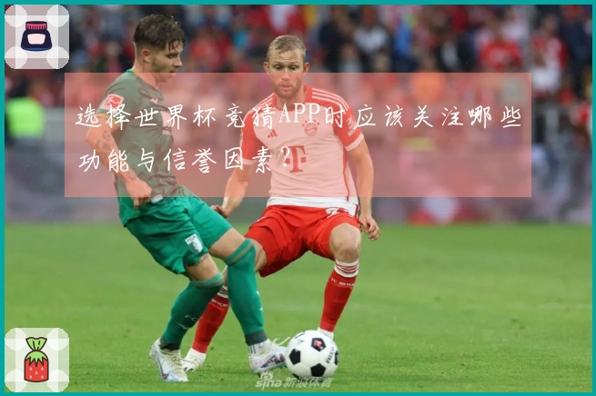 选择世界杯竞猜APP时应该关注哪些功能与信誉因素？