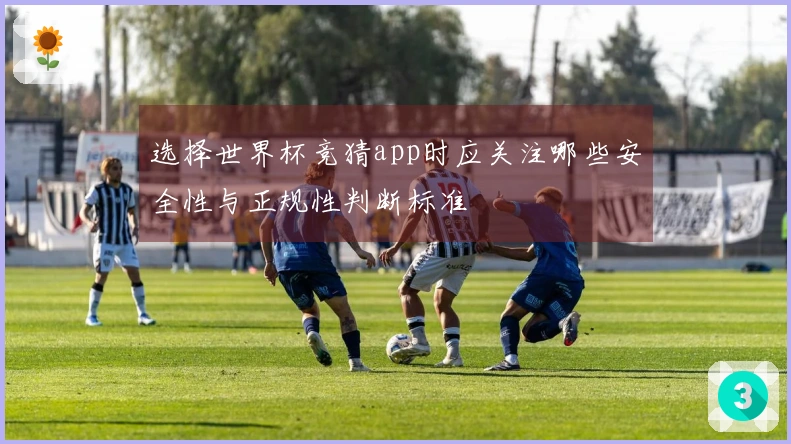 选择世界杯竞猜app时应关注哪些安全性与正规性判断标准