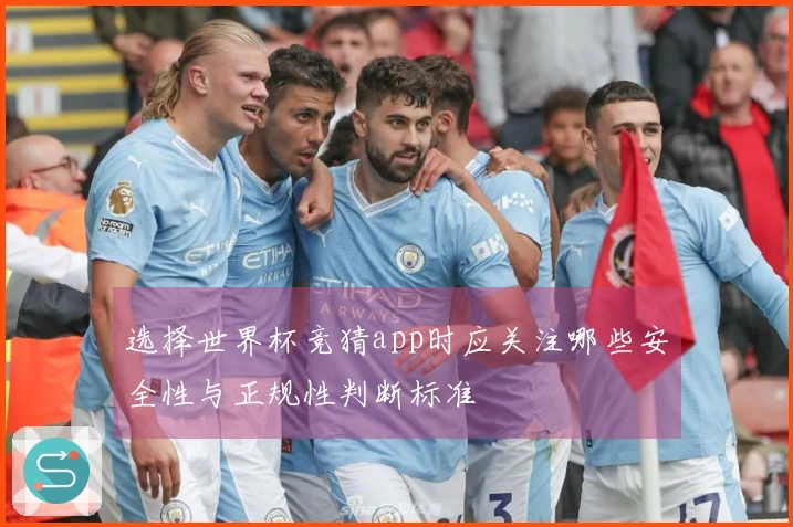 选择世界杯竞猜app时应关注哪些安全性与正规性判断标准